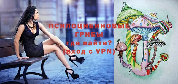 соль ск Алзамай